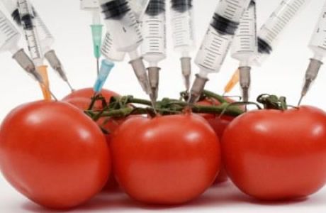 Безопасны ли продукты, содержащие компоненты с ГМО?