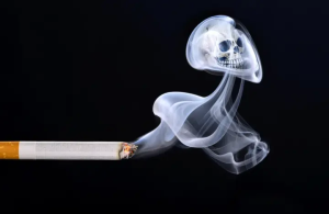 Сколько лет жизни отнимает курение