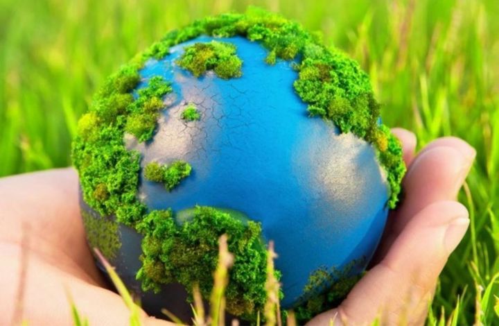 Торжественный старт Года экологии — 2017