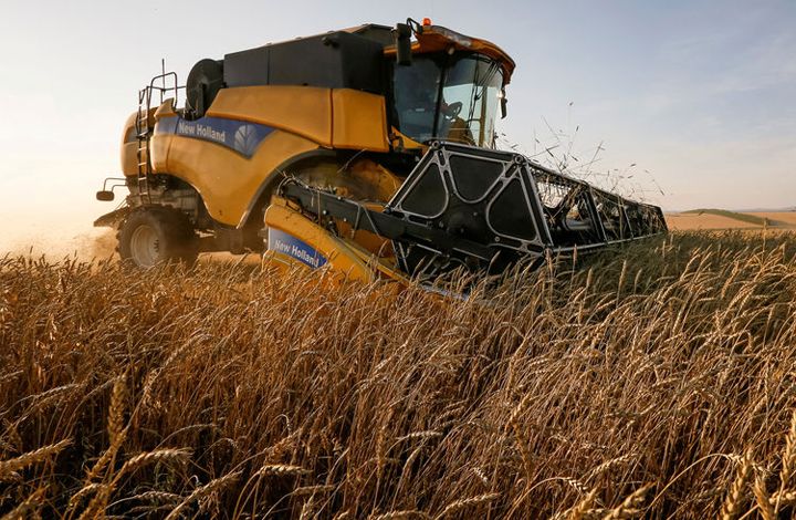 В России появится новый зерновой картель