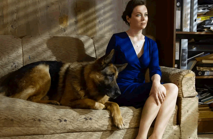 Премьера на НТВ! Никита Панфилов в новом сезоне детектива «Пёс»