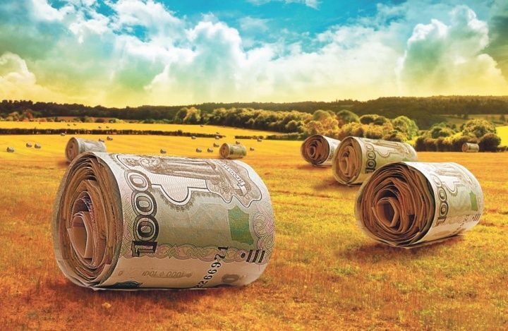 С начала 2020 года РСХБ предоставил аграриям более 1 трлн рублей
