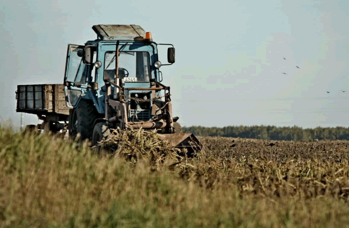 Гринпис критикует! 80 млн га сельхозземель в России не используются