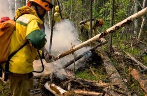 В «Авиалесоохране» оценили эффективность борьбы с лесными пожарами в Якутии