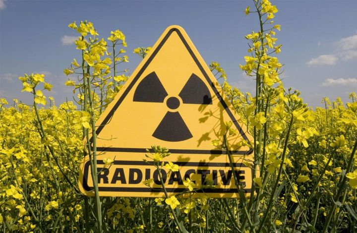 Эксперт: говорить о радиационной опасности над Европой – глупо