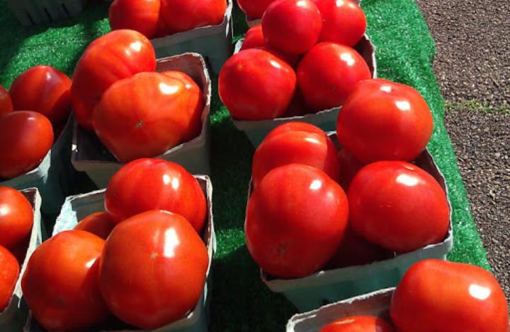 Чем хороши турецкие помидоры? Стоит ли бояться возможных квот