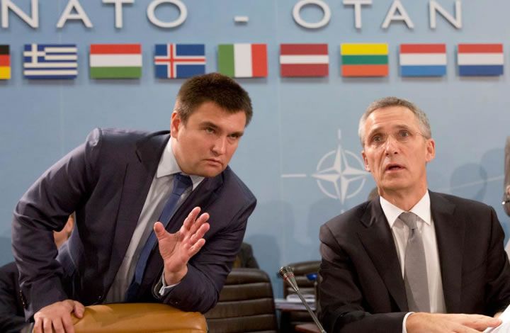Политолог: Украина – пассив НАТО, референдум это не изменит