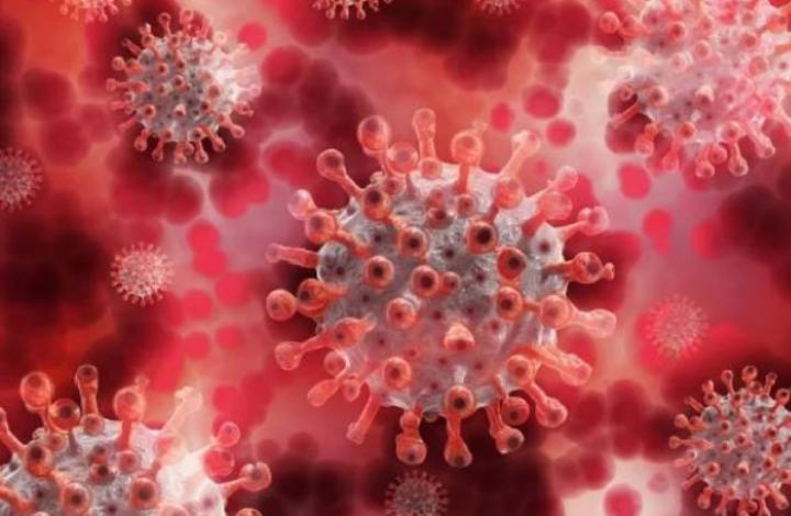 Антипрививочники чаще всего разделяют мнение об искусственном происхождении коронавируса