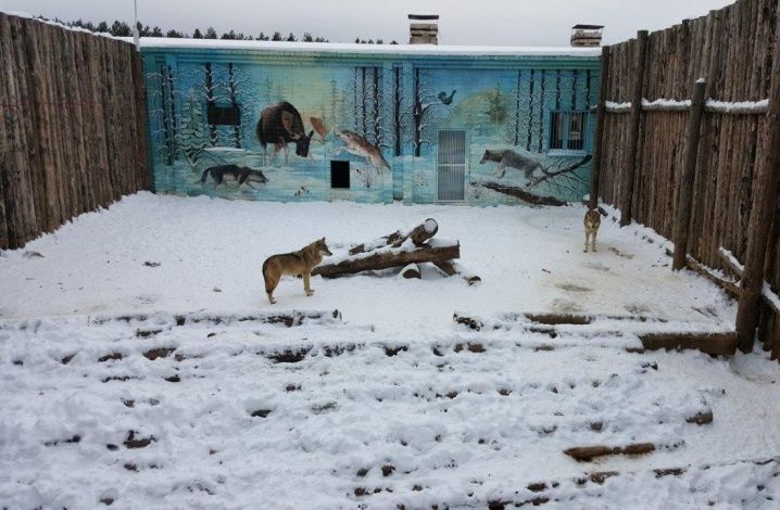 В зоопарке Набережных Челнов опровергли информацию о голодающих питомцах