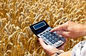 Эксперт оценила эффект увеличения субсидий на производство сельхозпродукции в Якутии