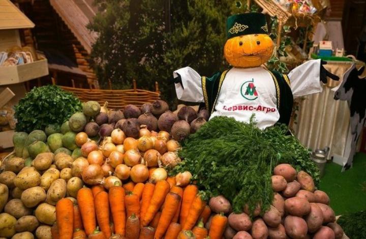Картофель и морковь резко подорожали. Когда ждать снижения цен?