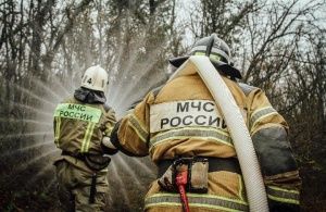 В Севастополе отменён особый противопожарный режим. В чём его отличие от пожароопасного сезона и почему жечь костры в лесах по-прежнему не рекомендуется?