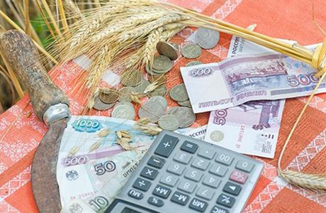 За 2016 год бюджет вложит в развитие сельского хозяйства Севастополя почти 350 миллионов рублей