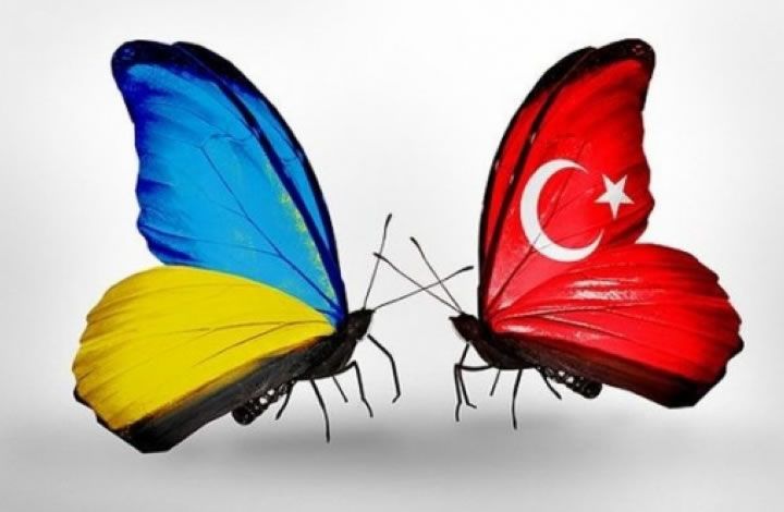 Политолог: Киев и Анкара рассматривают друг друга с разных точек зрения