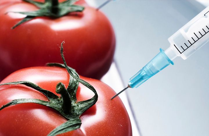 ГМО-фобия: борьба между компаниями и учеными