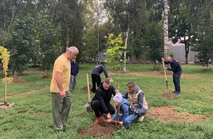 Более 160 деревьев высадили в Реутове в рамках акции «Наш лес. Посади своё дерево»