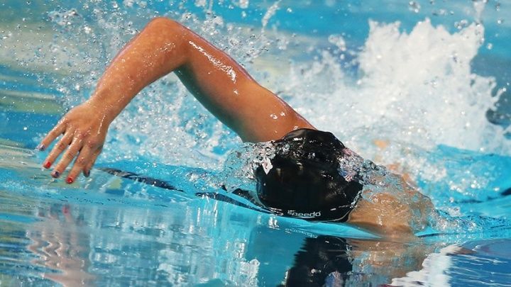 Эксперт о подготовке ЧМ по водным видам спорта: Чемпионат подготовлен идеально