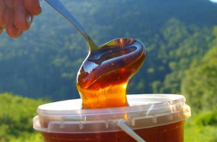 Таёжный мёд едет в Южную Корею