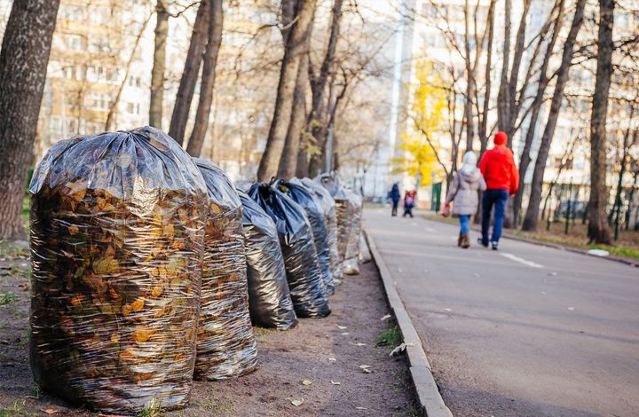 Движение ЭКА выпустило инструкцию по борьбе с незаконной уборкой листьев