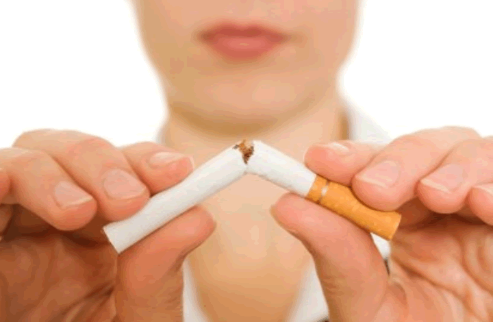 Пассивное курение вредит вашему питомцу