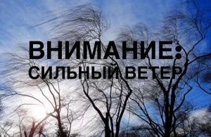 Экстренное предупреждение: в Севастополе усилится ветер!