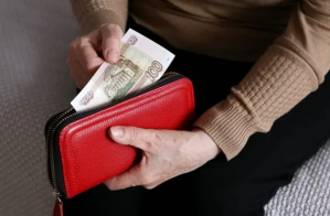 Беженцы из Донбасса могут оформить выплаты на портале госуслуг Подмосковья