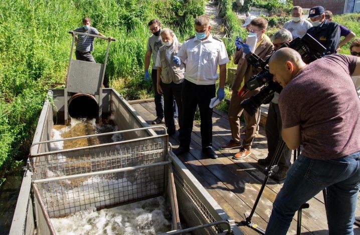 СХК профинансировал выпуск рыбной молоди в реку Томь