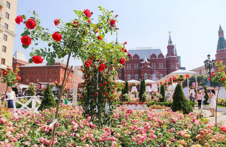 Более 1500 садов, ландшафтные дизайнеры из 11 стран и новаторские социальные проекты: в Москве пройдет крупнейший в мире фестиваль и конкурс ландшафтного дизайна «Цветочный джем»