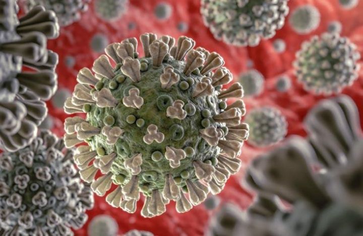Врач-иммунолог объяснил, почему нельзя сравнить свиной грипп и COVID-19