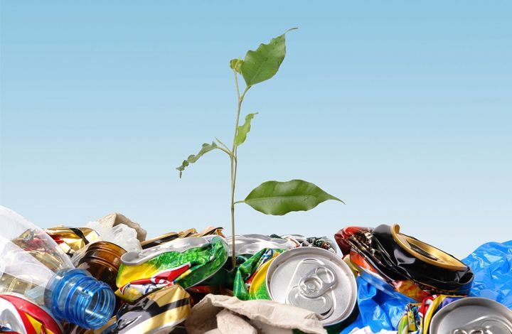 Как эффективно собирать и перерабатывать бытовые отходы
