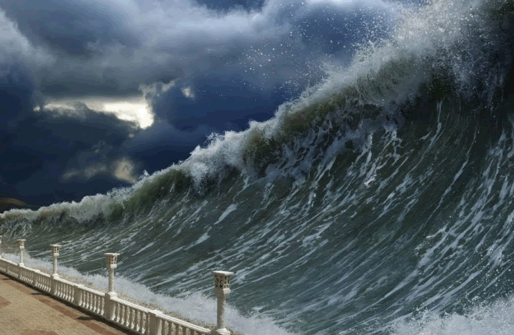 Появление «предвестника цунами» списали на глобальное потепление