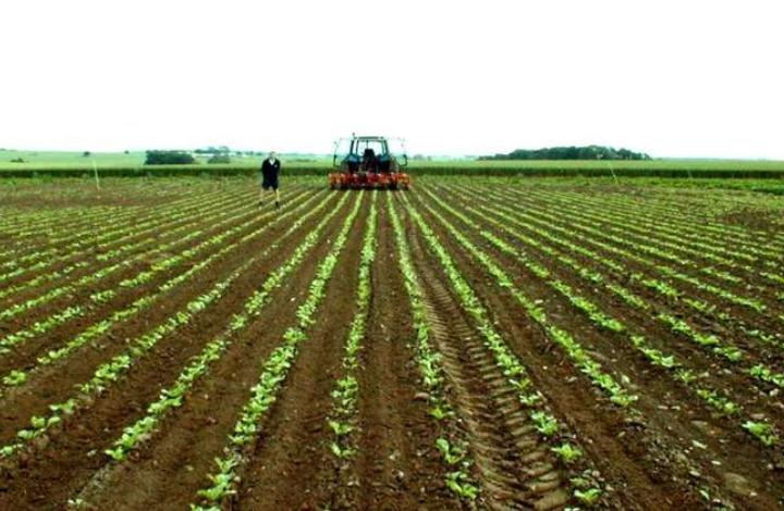 РСХБ поможет фермерам проводить дистанционный мониторинг полей