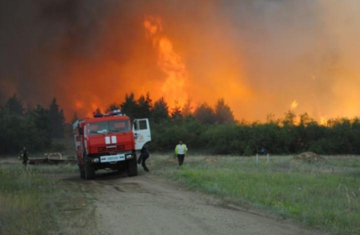 В Ростовской области бушует лесной пожар