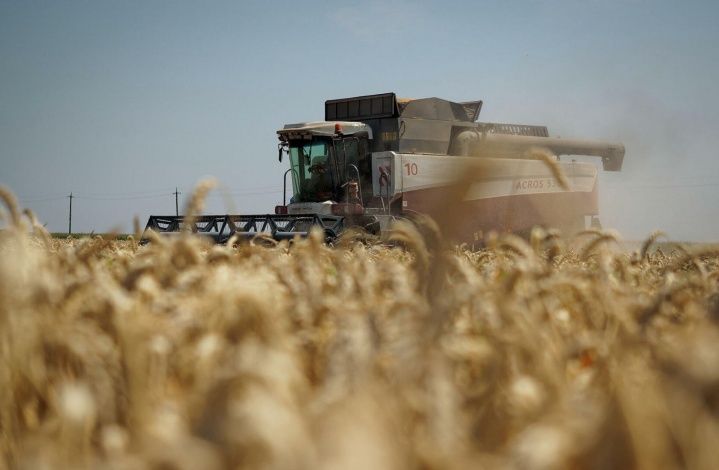 Аналитик рассказал, чем грозит повышение пошлин на экспорт пшеницы