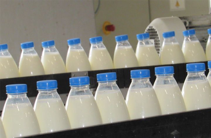 Новый комбинат в моногороде Ставропольского края обеспечит молочной продукцией более 22 млн россиян