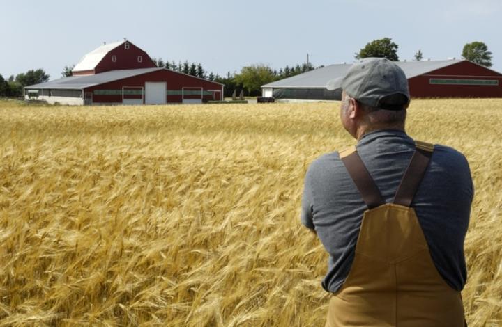 Россельхозбанк запускает новый кредит «Агростарт» для создания фермерского бизнеса