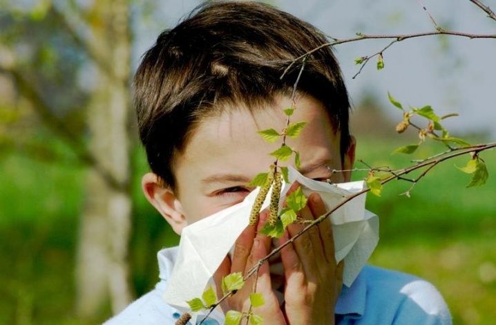 Аллергия на цветение: почему мало самоизоляции