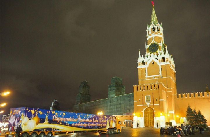 Домодедовская ёлочка прибыла на Соборную площадь Московского Кремля