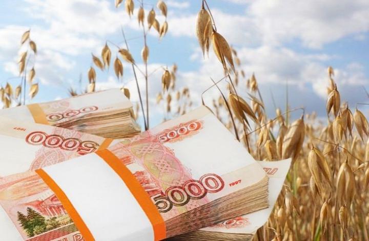 Сельский туризм может приносить фермерам по 200 млрд рублей ежегодно с 2030 года