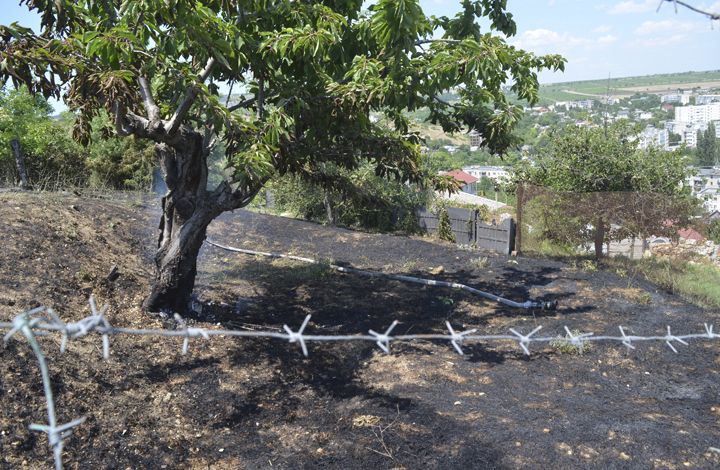 Севастопольские огнеборцы ликвидировали пожар на открытой территории в Балаклаве