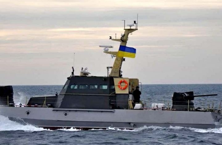 Военный историк прокомментировал планы Киева по возрождению флота