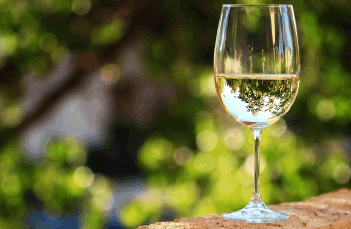Сам себе сомелье: как выбрать белое вино?