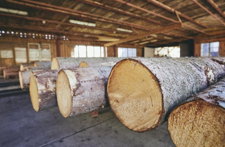 Владимир Путин поручил запретить экспорт необработанной древесины