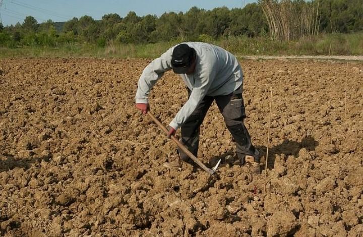 Россельхозбанк назвал самые востребованные вакансиив период сезонно-полевых работ