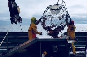 Рыбак или моряк? Почему зарплата матросов торгового флота других стран в десятки раз меньше, чем у рыбаков Норвегии?