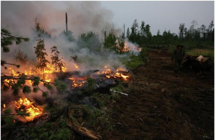 В Якутии для тушения лесных пожаров используют самолет, вызывающий искусственный дождь 