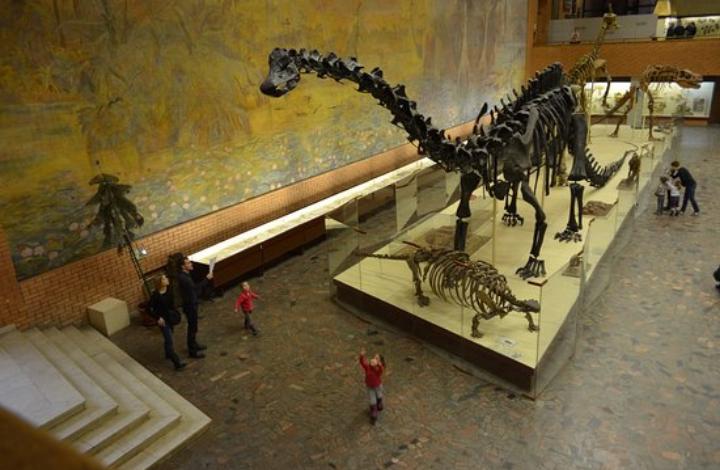 На RTVI раскрыли тайны Палеонтологического музея
