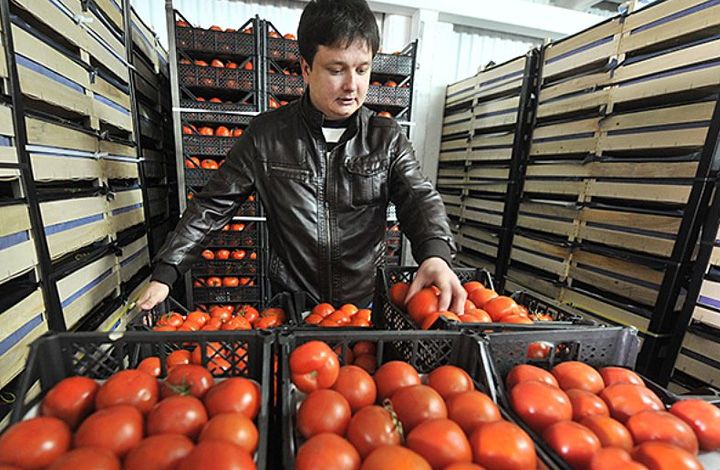 Эксперт об идее заменить полностью турецкие помидоры российскими: Я не понимаю, зачем России зимой выращивать помидоры?