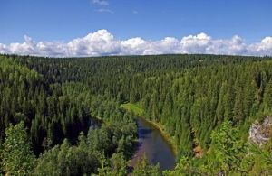 Климатические вызовы: как в Якутии готовятся к пожароопасному сезону