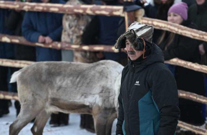 Сенатор Широков предложил масштабировать Международный чемпионат по традиционному оленеводству в пределах России